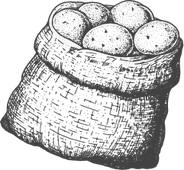 Prodej brambor Znojmo Prodej brambor Znojmo