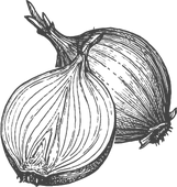 Prodej cibule Znojmo Prodej cibule Znojmo